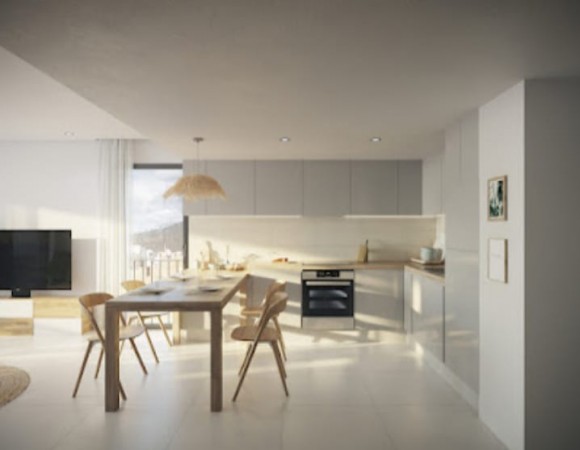Ibiza. San Antonio. Apartamentos de 3 dormitorios 