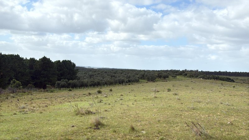 José Ignacio, 57 hectáreas con tajamares. Ideal inversión