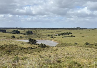 José Ignacio, 57 hectáreas con tajamares. Ideal inversión