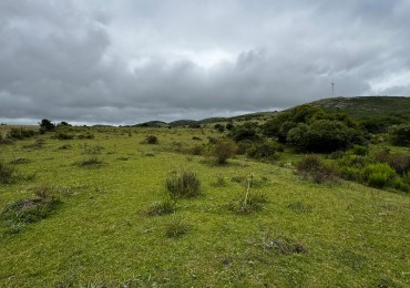 108 HECTAREAS EN GARZON 