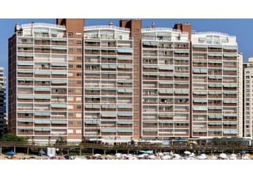 PARADA 1 MANSA. 1 dormitorio y medio