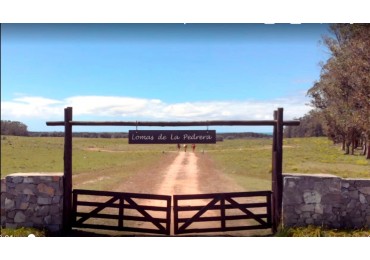 28 hectareas subdivididas en San Antonio Rocha