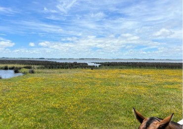 Espectacular chacra 5 hectareas sobre laguna Jose Ignacio, vecina al Polo