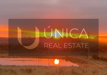 FRACCION DE CAMPO EN RINCON DE JOSE IGNACIO