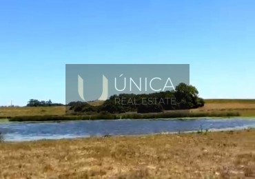 Chacra de 3 hectareas a metros de Laguna Garzon. lado Maldonado