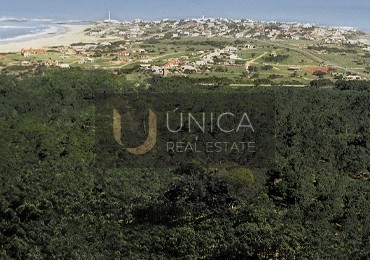 Lotes en Dunas de Jose Ignacio. Lanzamiento Octubre 2025